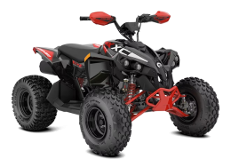 CAN-AM RENEGADE XXC 110 EFI || 2024