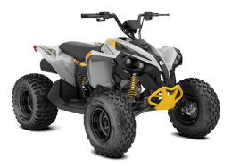 CAN-AM RENEGADE STD 110 EFI || 2024